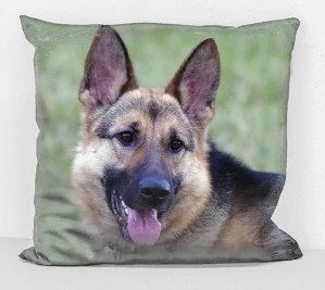 povlak na polštář - pes německý ovčák