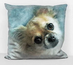 povlak na polštář - pes čivava