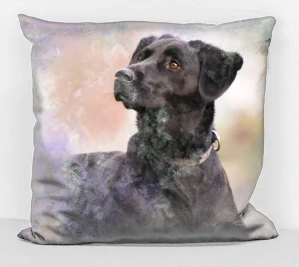 povlak na polštář - pes labradorský retrívr