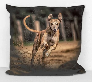 povlak na polštář - pes greyhound