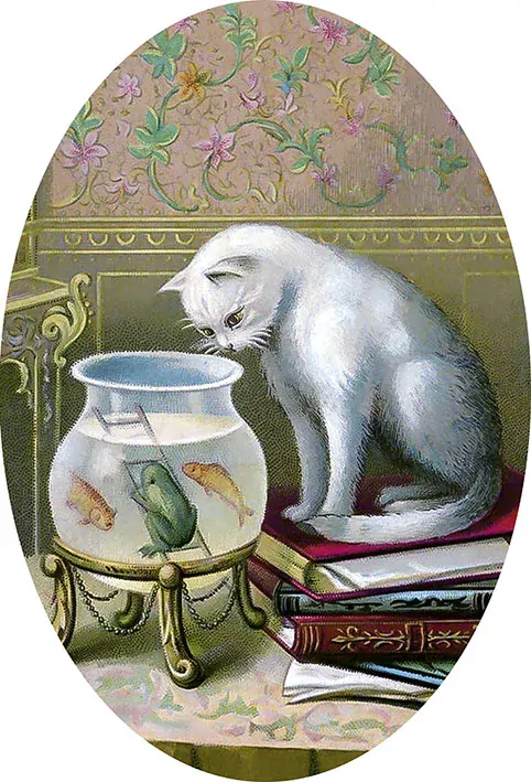 Tričko - obraz kočka s akvariem