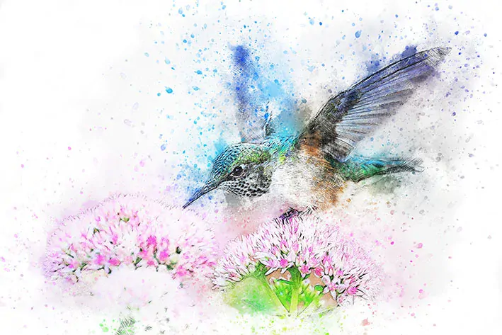 Tričko - kolibřík