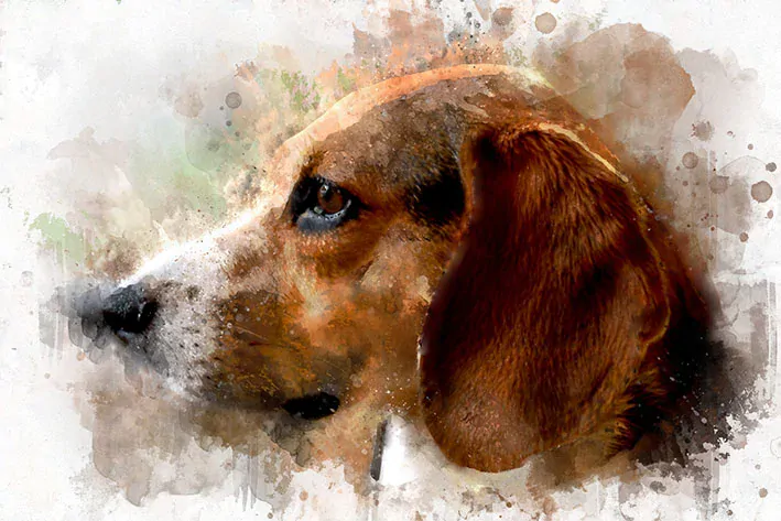 Tričko - pes 5 německý honič