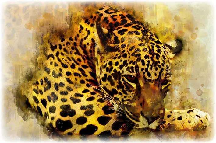 Tričko - leopard