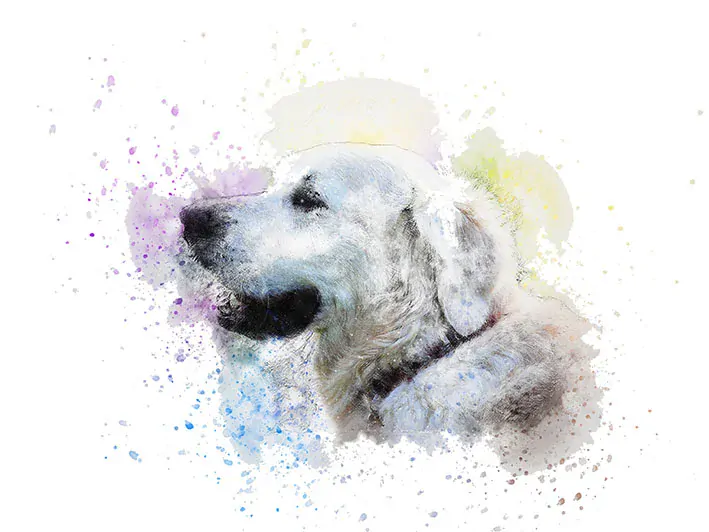 Tričko - pes 10 podhalaňský ovčák