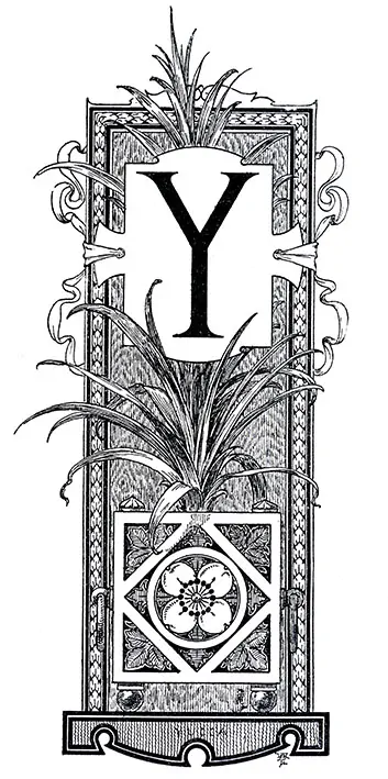 Tričko s monogramem Y