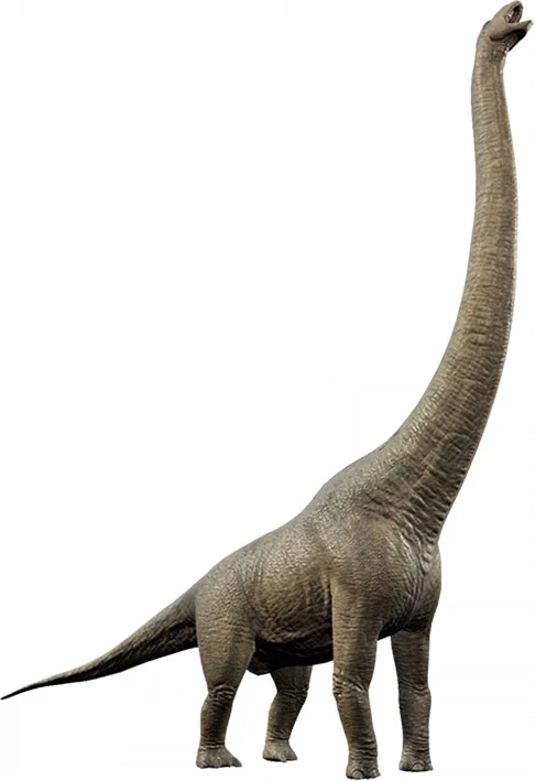 Tričko - gigantosaurus