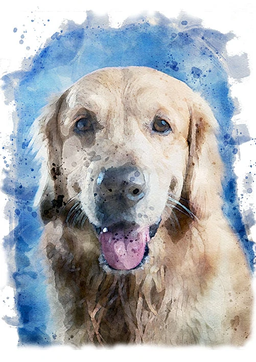 Tričko - pes retrívr