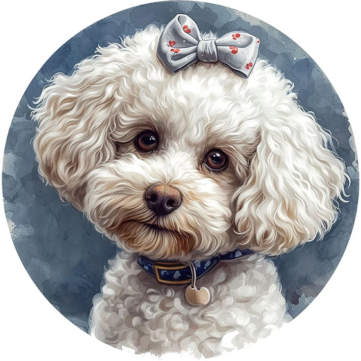 Tričko - pes pudl 2