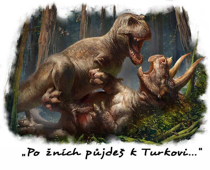 Tričko - vtípky - Po žních půjdeš k Turkovi