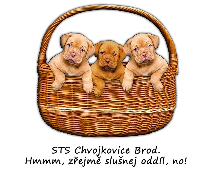 Tričko - vtípky - STS Chvojkovice Brod. Hmmm, zřejmě slušnej oddíl, no! 