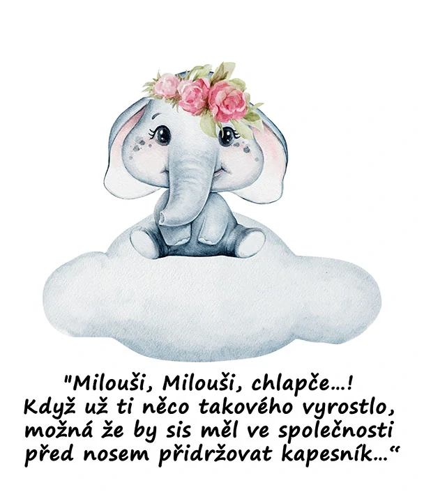 Tričko - vtípky - "Milouši, Milouši, chlapče…! Když už ti něco takového vyrostlo, možná že by sis měl ve společnosti před nosem přidržovat kapesník…“