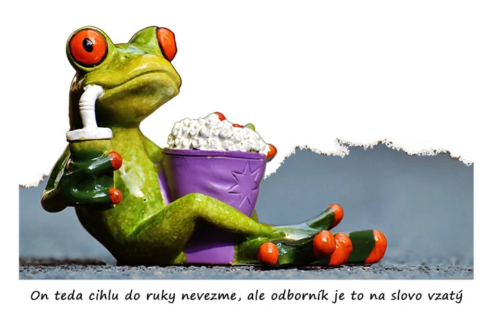 Tričko - vtípky - On teda cihlu do ruky nevezme, ale odborník je to na slovo vzatý