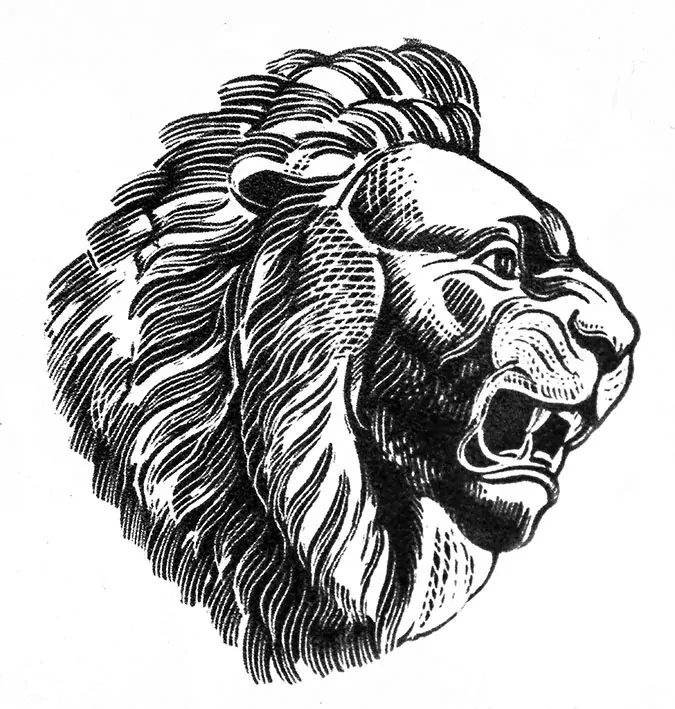 Tričko - Zvěrokruh - lev