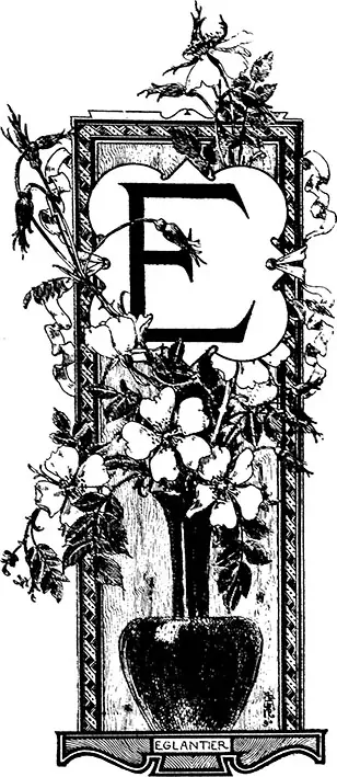 Tričko s monogramem E