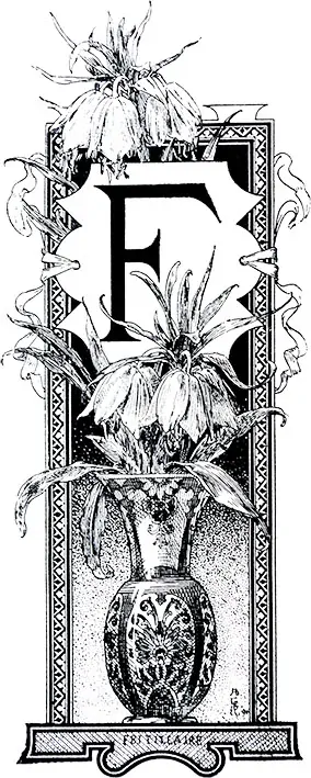 Tričko s monogramem F