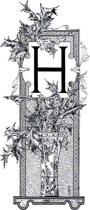 Tričko s monogramem H