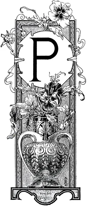 Tričko s monogramem P