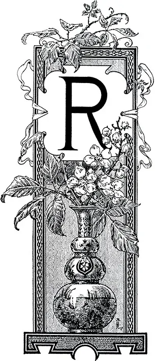 Tričko s monogramem R