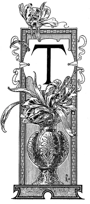 Tričko s monogramem T