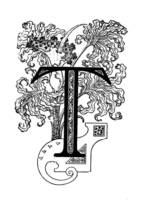 Tričko s monogramem T - 2