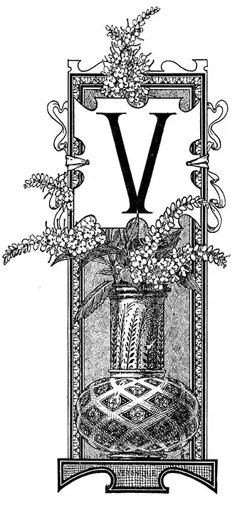 Tričko s monogramem V