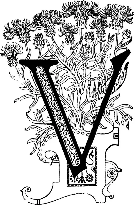 Tričko s monogramem V - 2