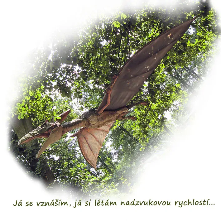 Tričko - vtípky - Já se vznáším, já si létám nadzvukovou rychlostí