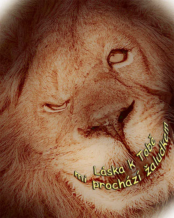 Tričko - vtípky - Láska k tobě mi prochází žaludkem