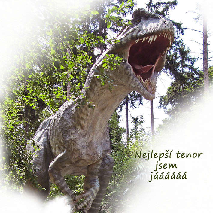 Tričko - vtípky - Nejlepší tenor jsem jáááá