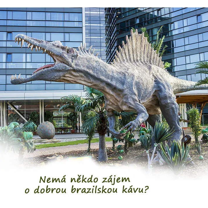 Tričko - vtípky - Nemá někdo zájem o dobrou brazilskou kávu?