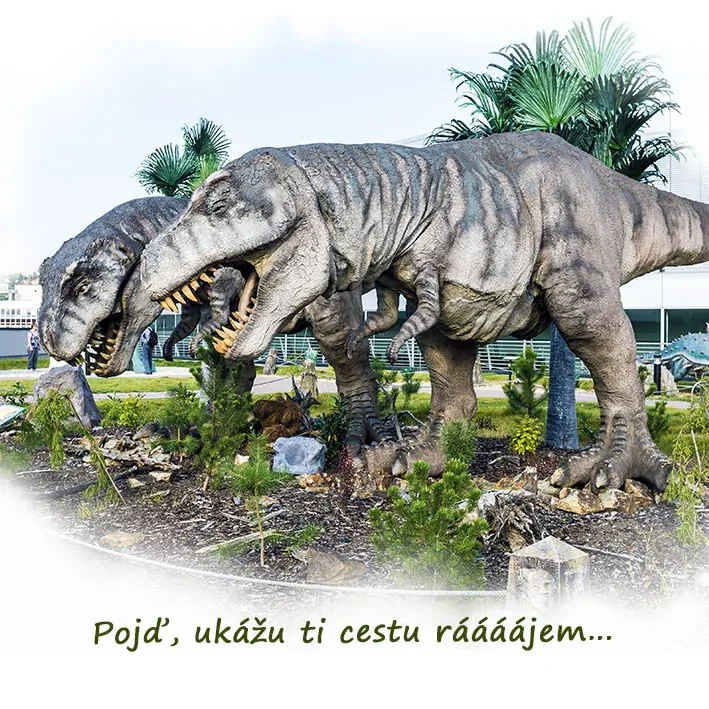 Tričko - vtípky - Pojď, ukážu ti cestu rááájem