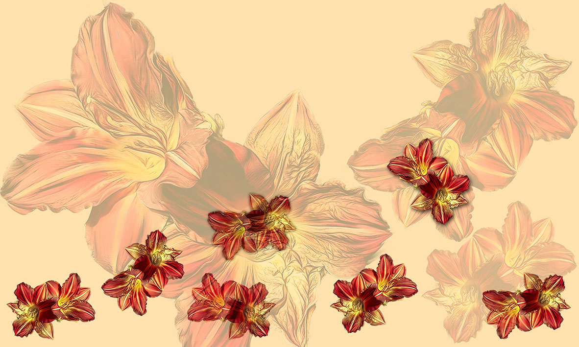 Bordura pro metráž 39 - "oranžové květy"