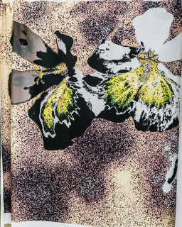 Látka - motiv letní nálada s květy - vzor 558 (rozměr 149 x 220 cm)